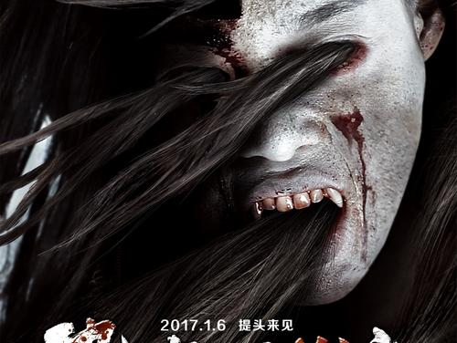 哪里能买到葡萄牙驾驶证